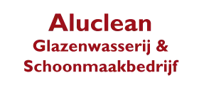 Nieuwe Fiat Doblo met imperiaal voor Aluclean Glazenwasserij & Schoonmaakbedrijf