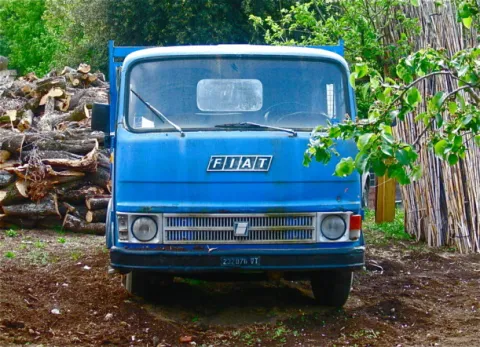 Officieel bedrijfswagen dealer van Fiat, 1973